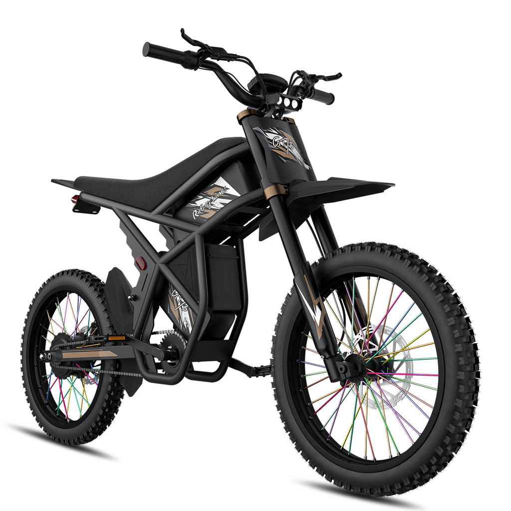 GT73 Pro Electric Motorbike