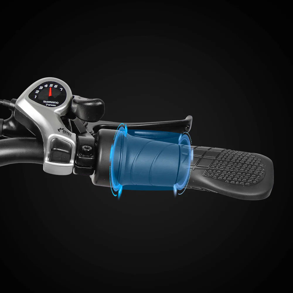 VICTRIP® T5 Foldable Ebike
