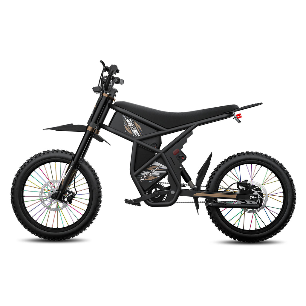 GT73 Pro Electric Motorbike