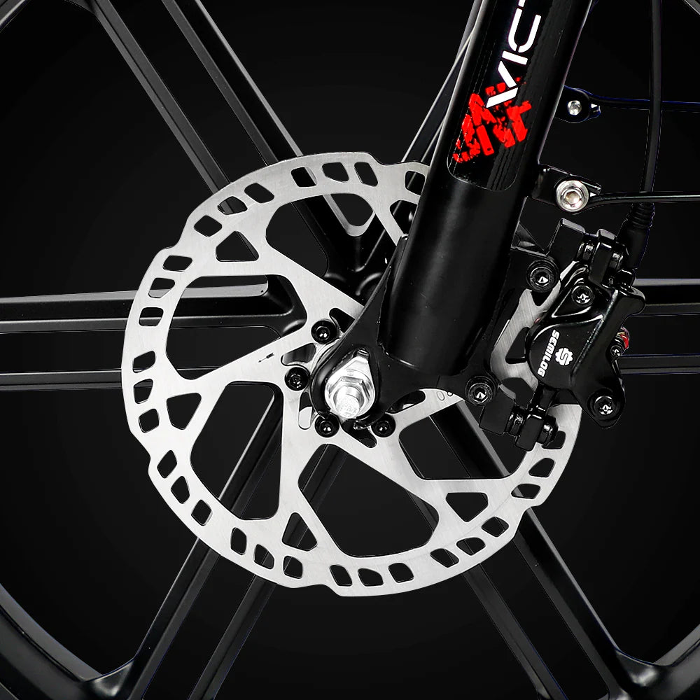 VICTRIP® T5 Foldable Ebike