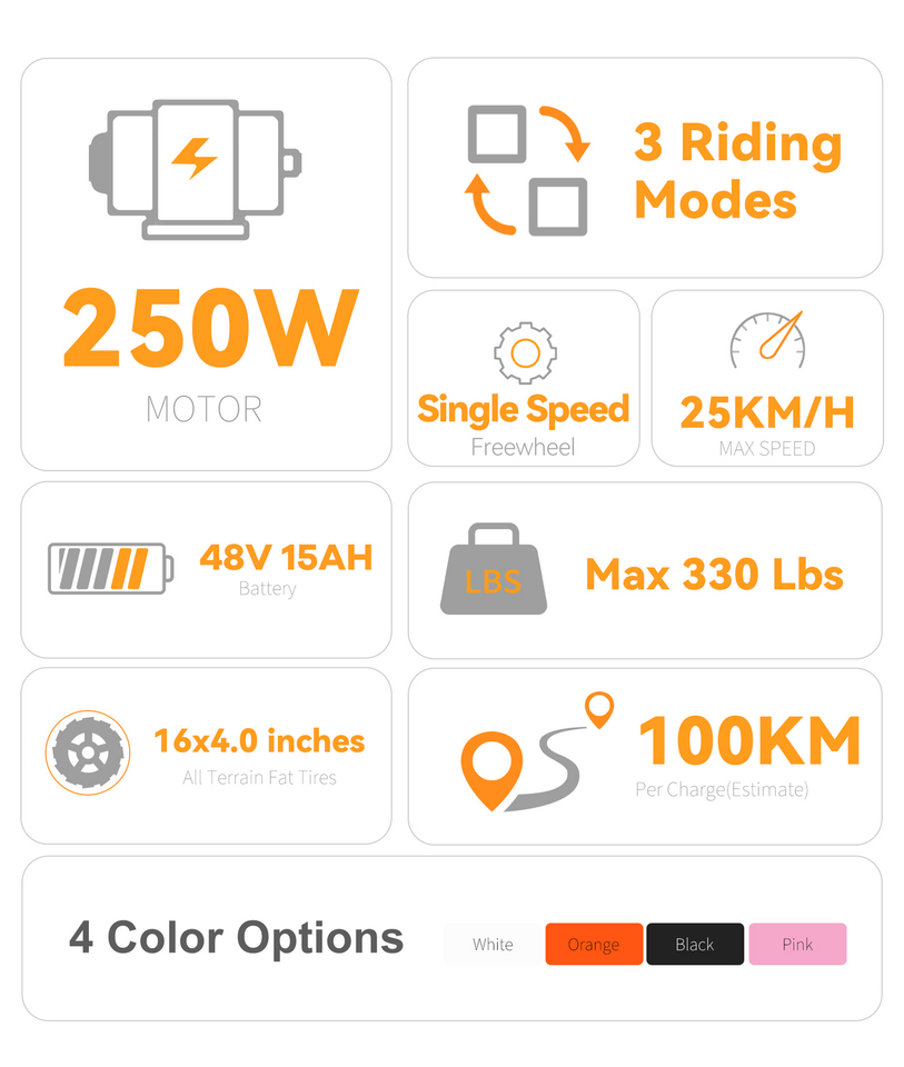 VICTRIP R6 Pro Off-Road Electric Bike