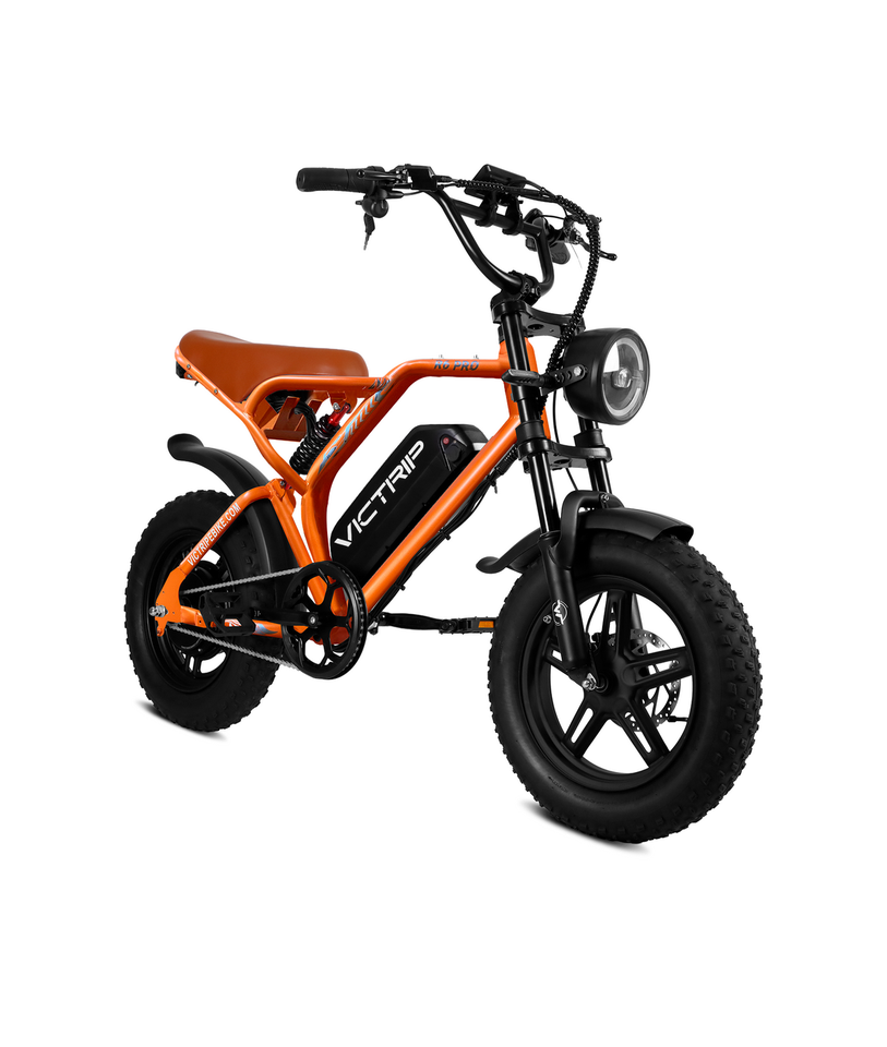 VICTRIP R6 Pro Off-Road Electric Bike
