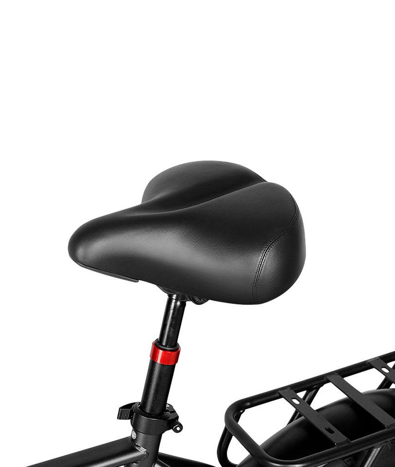 VICTRIP T5 Foldable Fat Tire Electric Bike 250W