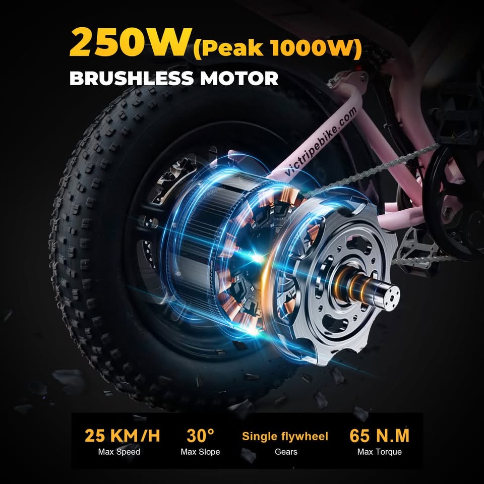 VICTRIP R6 Pro Off-Road Electric Bike