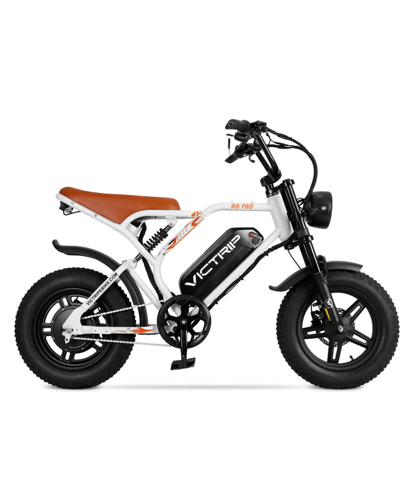 VICTRIP R6 Pro Off-Road Electric Bike
