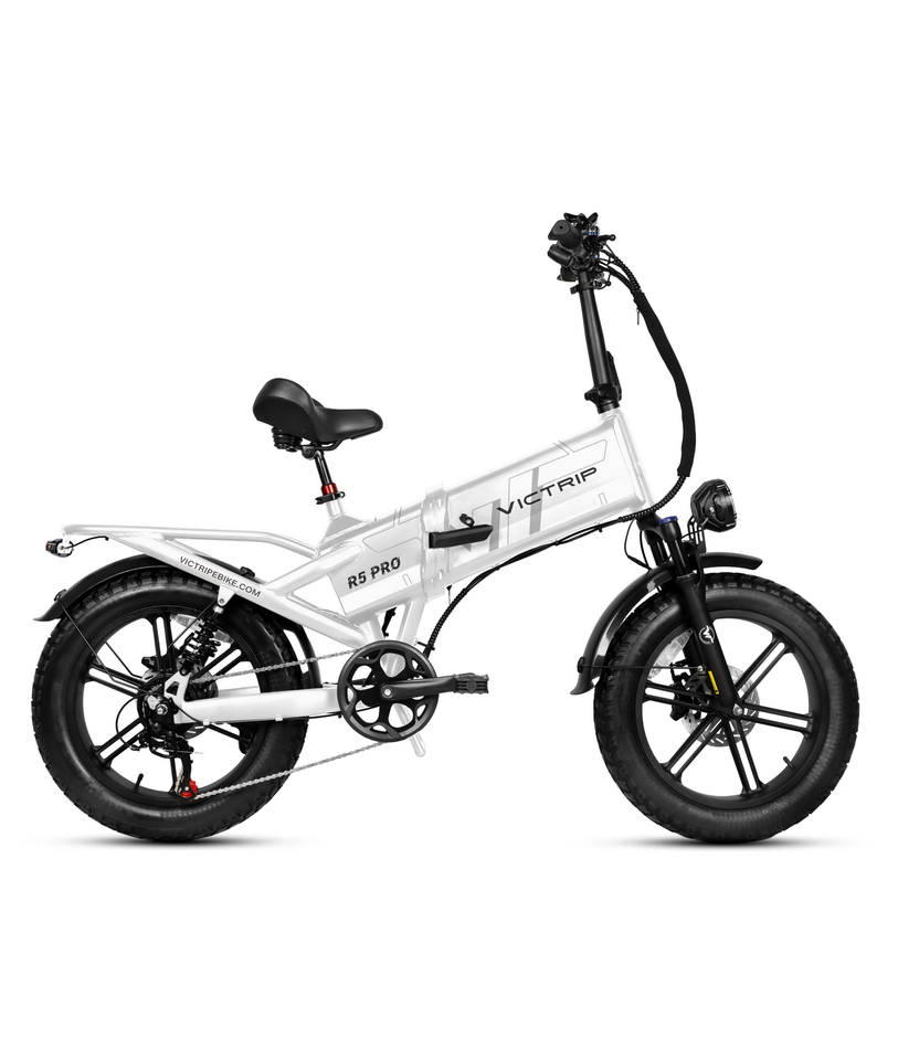 VICTRIP R5 Pro Folding Electric Bike – 20" Fat Tire, 250W, 48V 55Ah