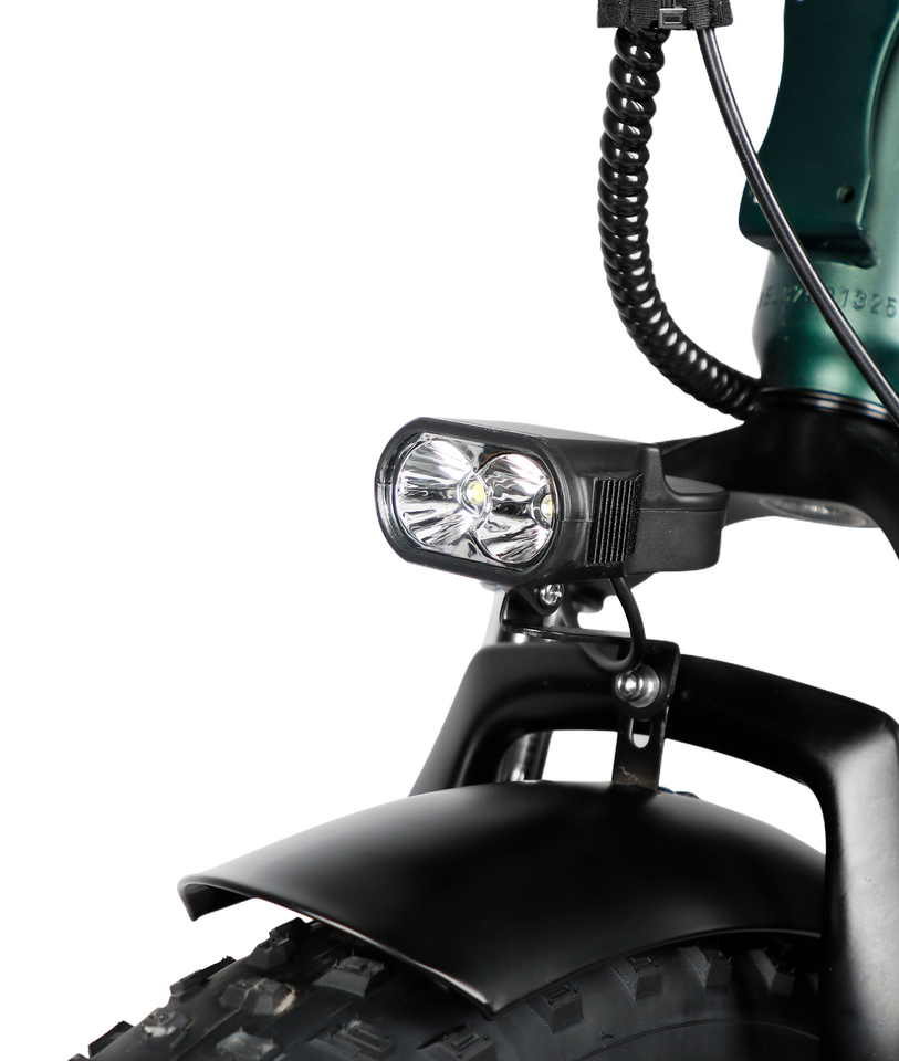 VICTRIP T5 Foldable Fat Tire Electric Bike 250W