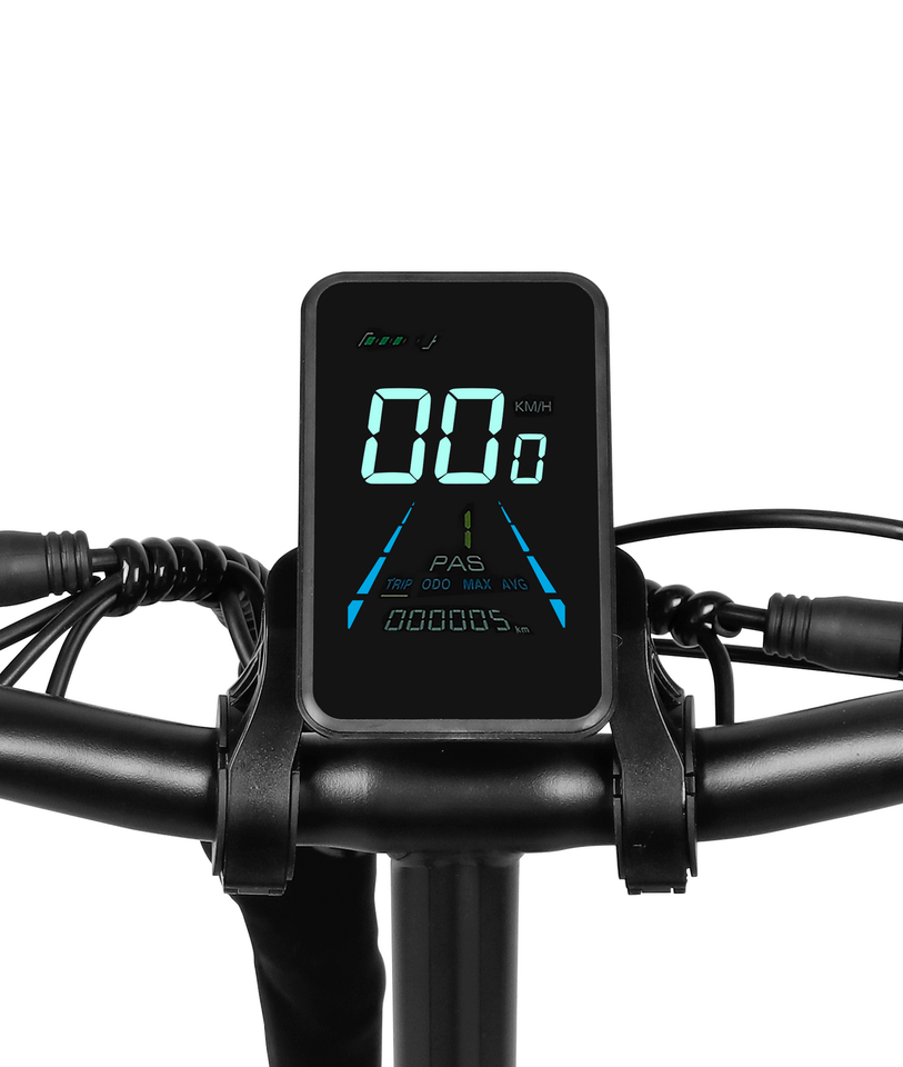 VICTRIP T5 Foldable Fat Tire Electric Bike 250W