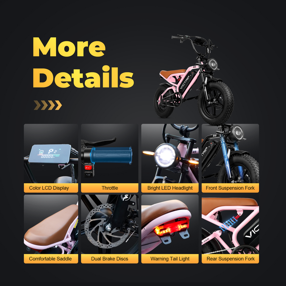 VICTRIP R6 Pro Off-Road Electric Bike