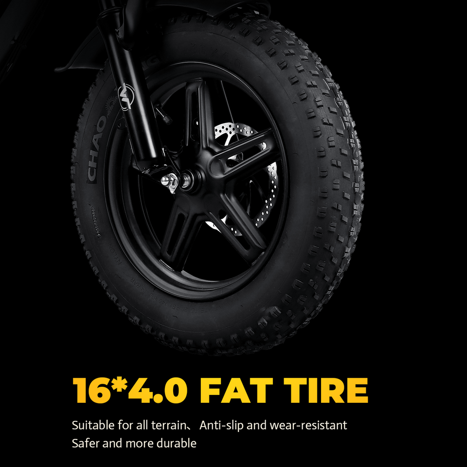 VICTRIP R6 Pro Off-Road Electric Bike