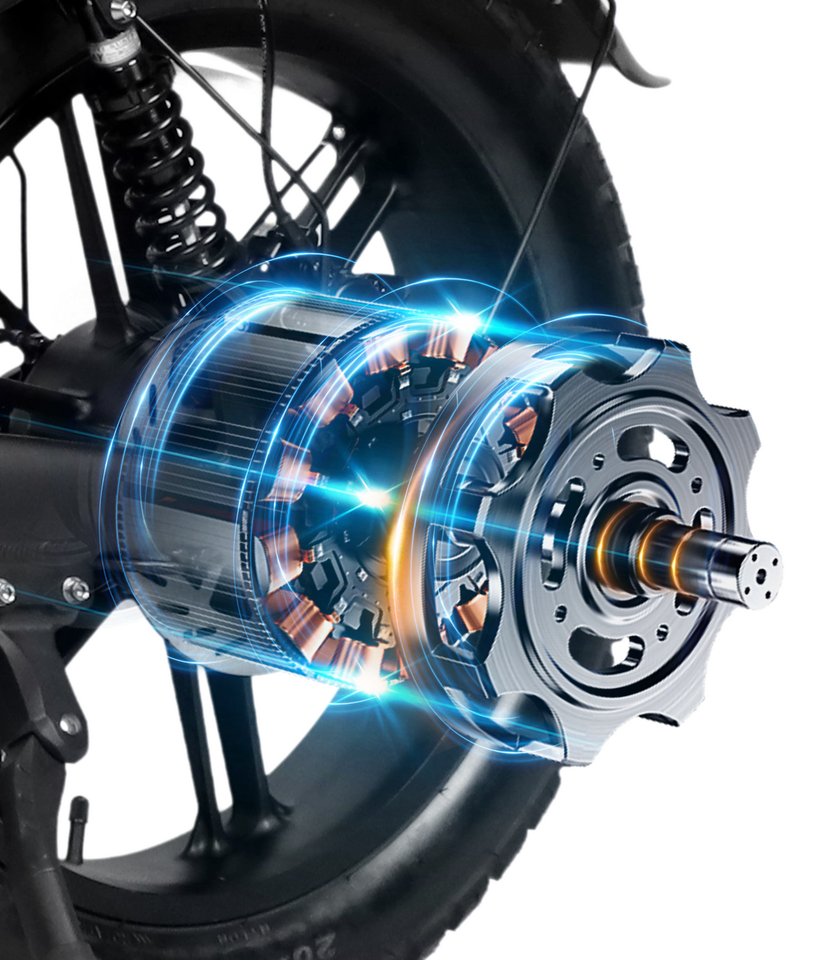 VICTRIP R5 Pro Folding Electric Bike – 20" Fat Tire, 250W, 48V 55Ah