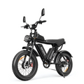 RAYZEPH C20 MAX Dual Motor Fat Tire Electric Bike