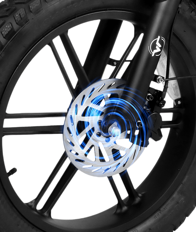 VICTRIP R5 Pro Folding Electric Bike – 20" Fat Tire, 250W, 48V 55Ah