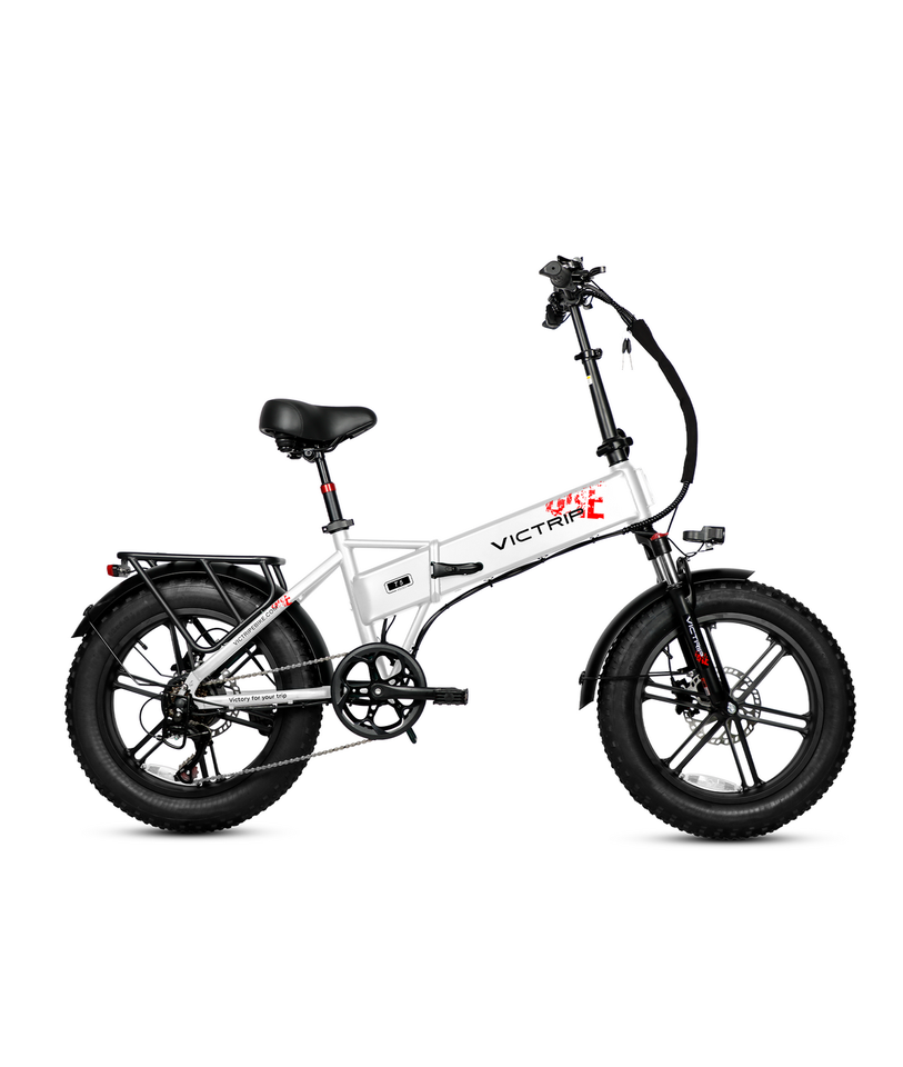 VICTRIP T5 Foldable Fat Tire Electric Bike 250W