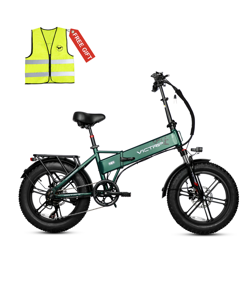 VICTRIP T5 Foldable Fat Tire Electric Bike 250W