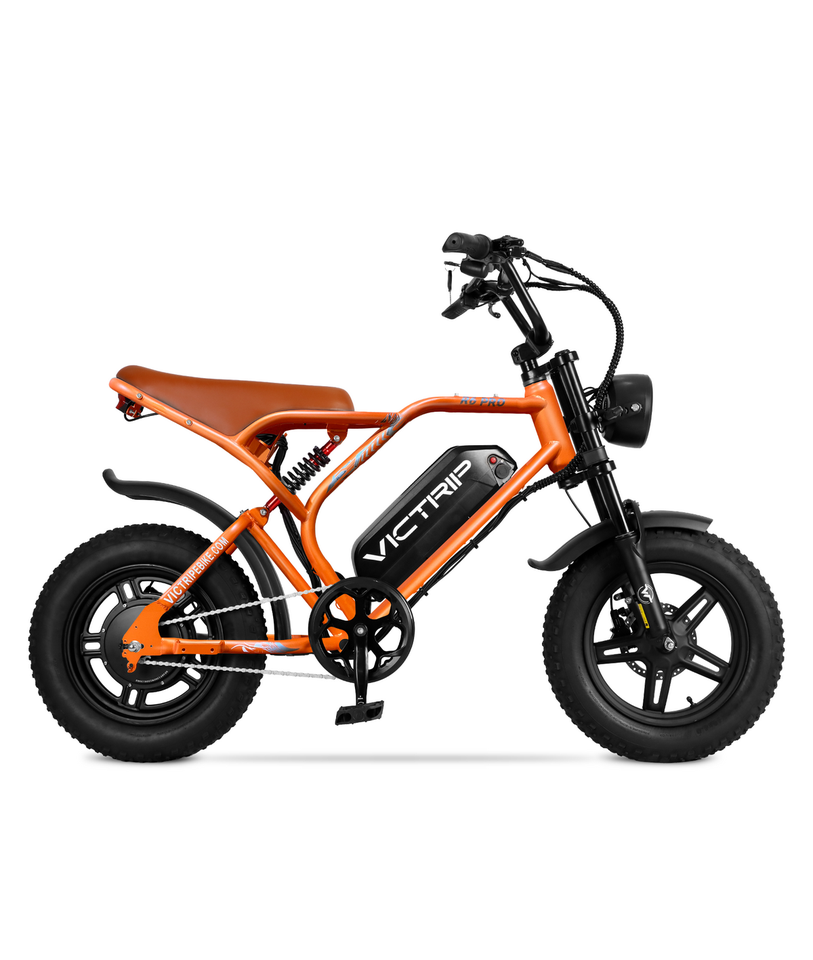 VICTRIP R6 Pro Off-Road Electric Bike