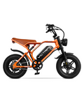 VICTRIP R6 Pro Off-Road Electric Bike