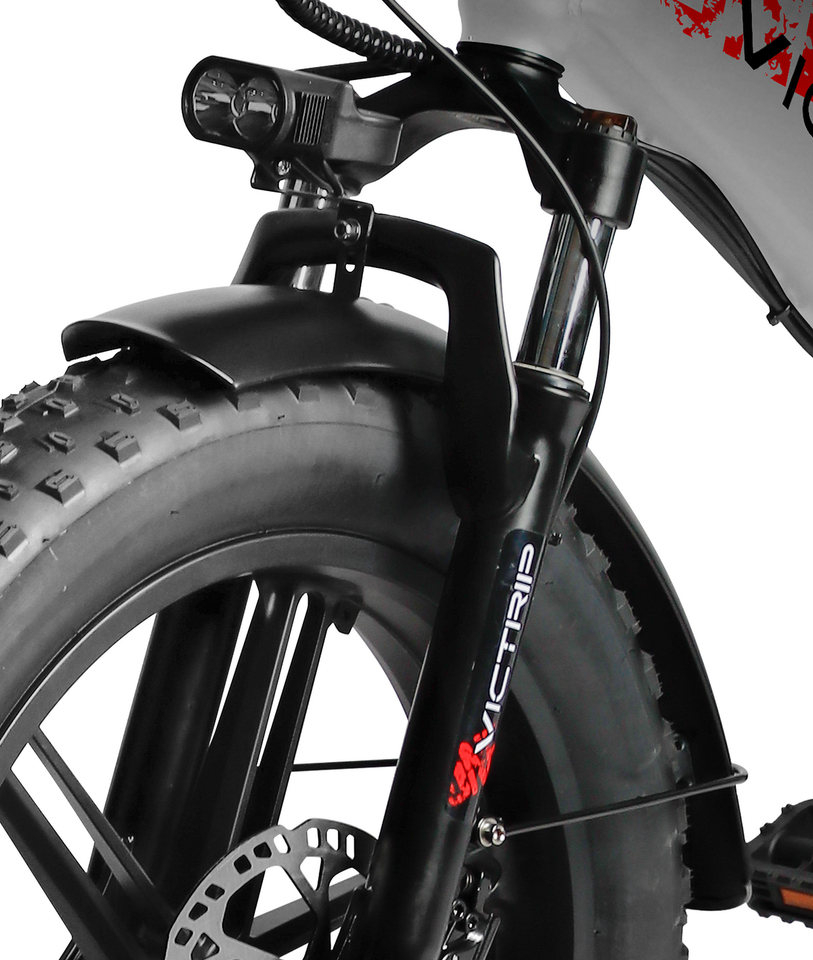 VICTRIP T5 Foldable Fat Tire Electric Bike 250W