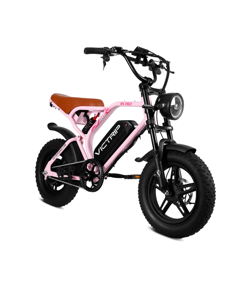 VICTRIP R6 Pro Off-Road Electric Bike