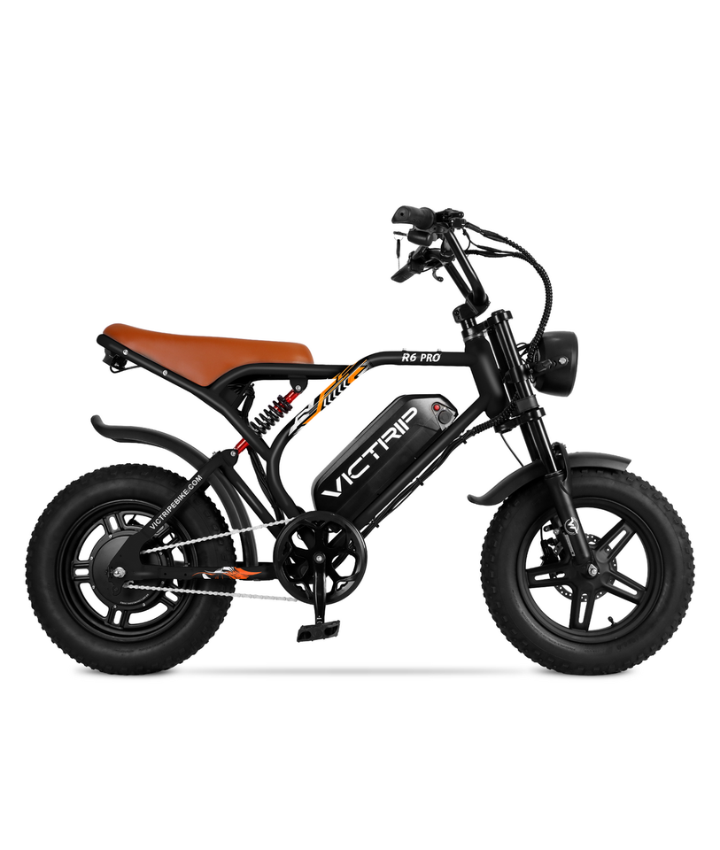 VICTRIP R6 Pro Off-Road Electric Bike
