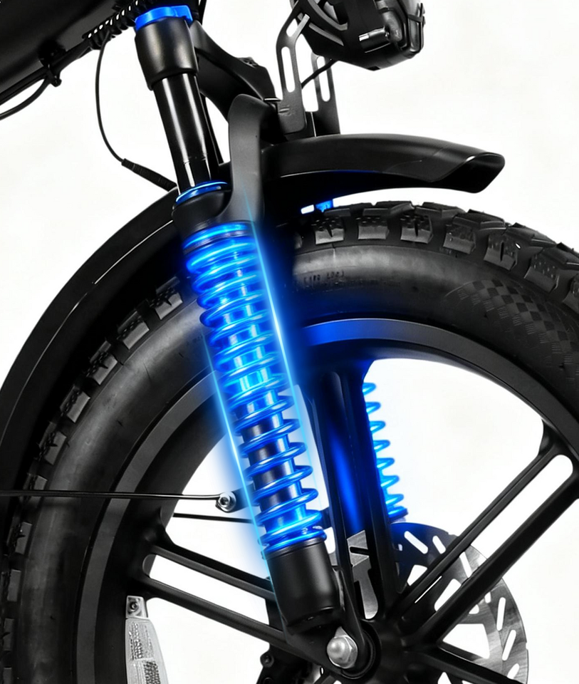 VICTRIP R5 Pro Folding Electric Bike – 20" Fat Tire, 250W, 48V 55Ah