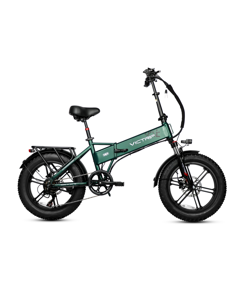 VICTRIP T5 Foldable Fat Tire Electric Bike 250W