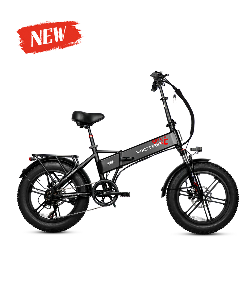 VICTRIP T5 Foldable Fat Tire Electric Bike 250W