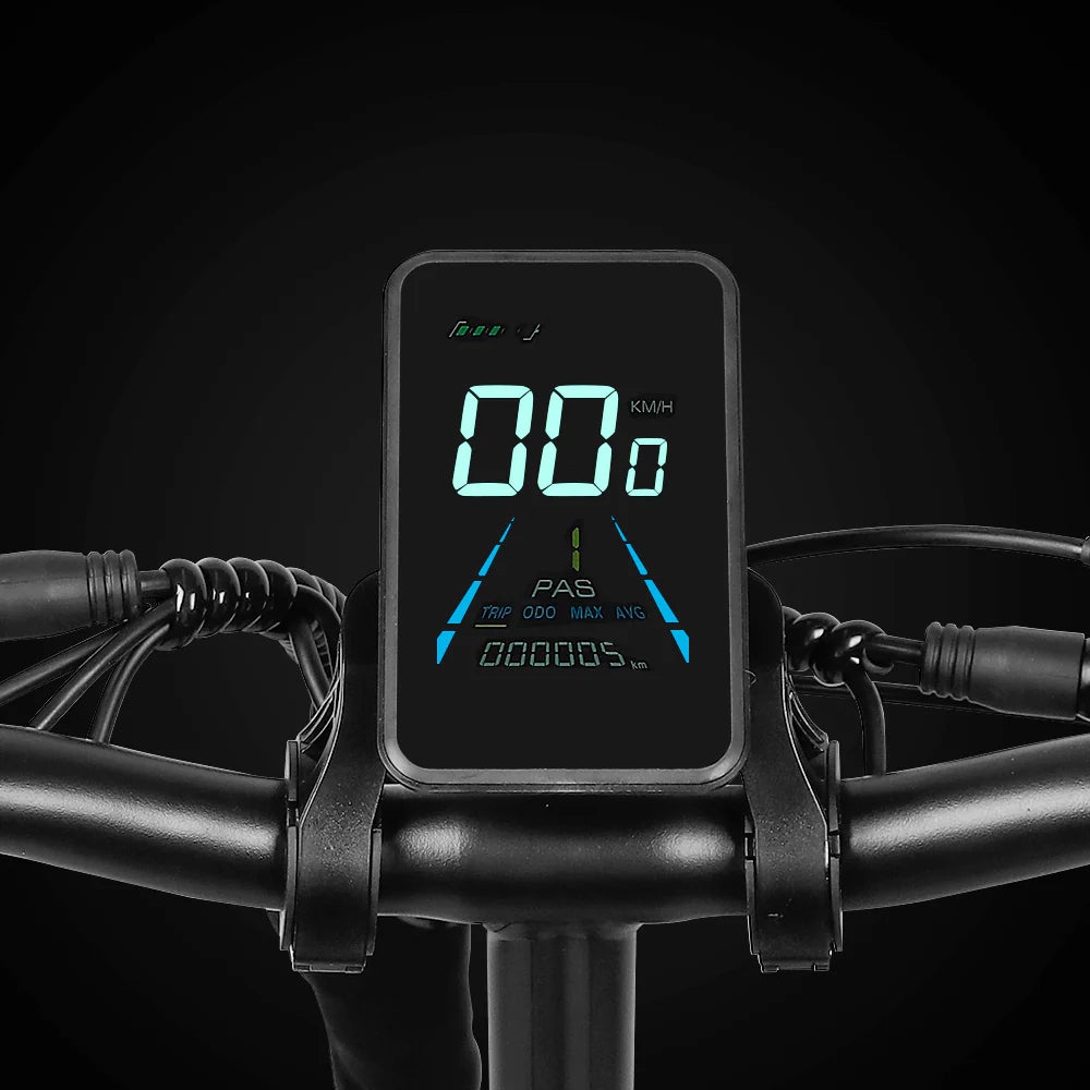 VICTRIP® T5 Foldable Ebike