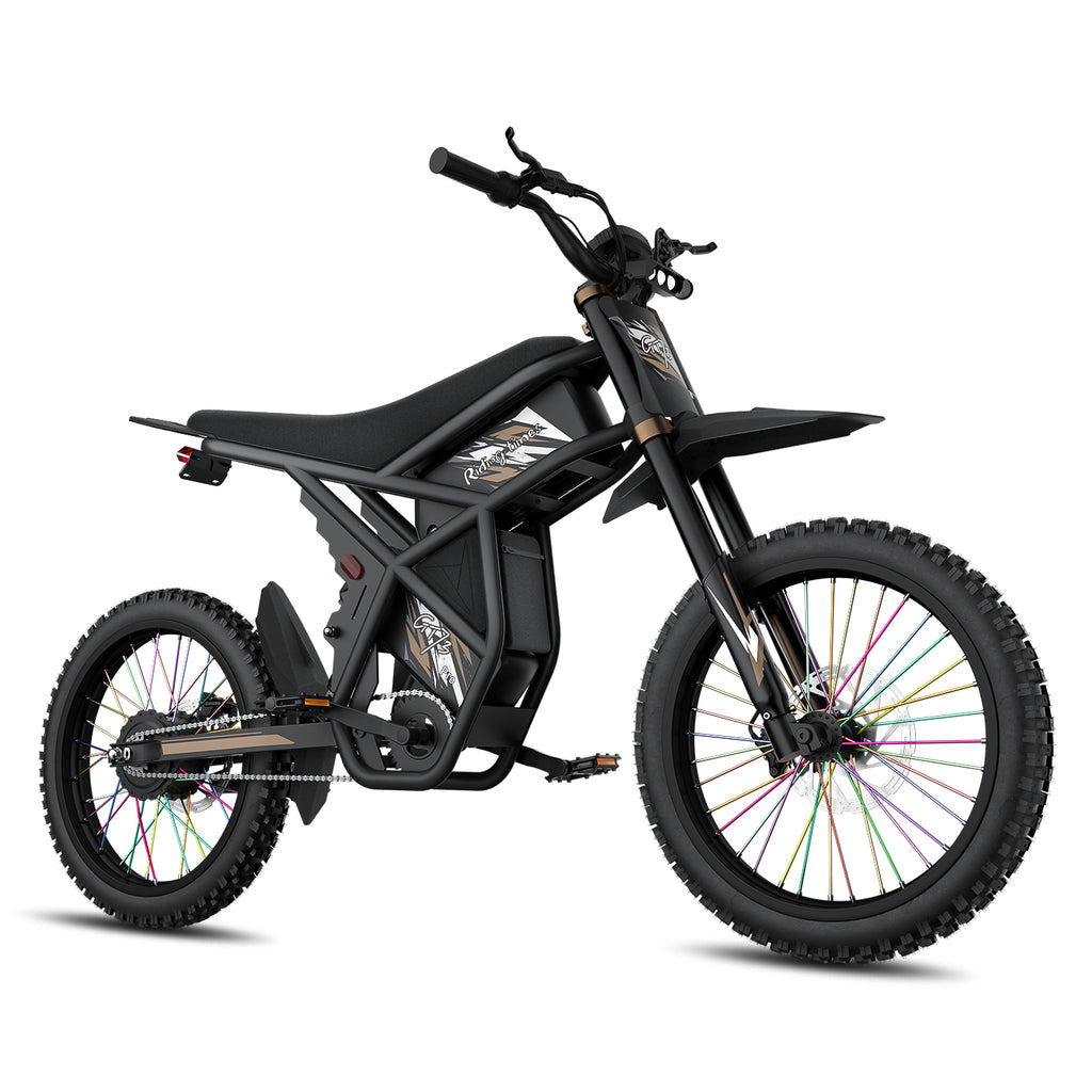 GT73 Pro Electric Motorbike