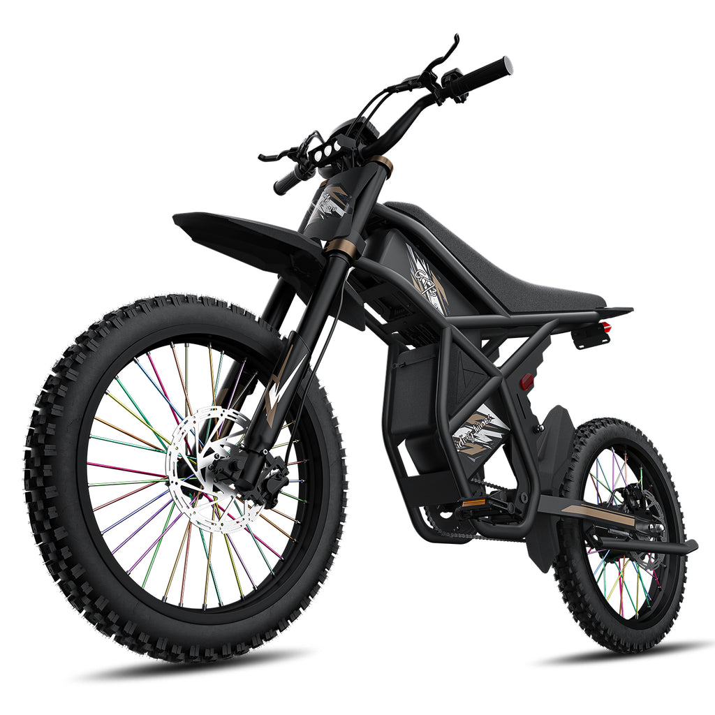 GT73 Pro Electric Motorbike