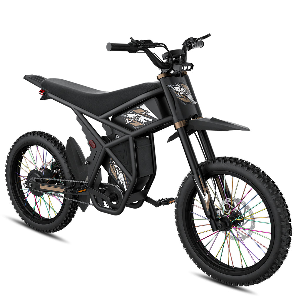 GT73 Pro Electric Motorbike