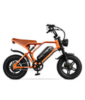 VICTRIP ®R6 Pro Off Road Electric Bike Moped